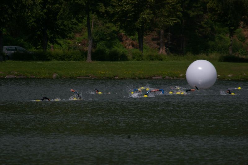 apfleland 2008
