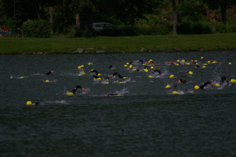 apfleland 2008