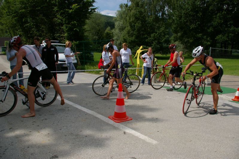 apfleland 2008